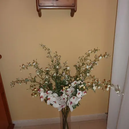 Ferienwohnung El Molino Castejón de Sos Exterior foto